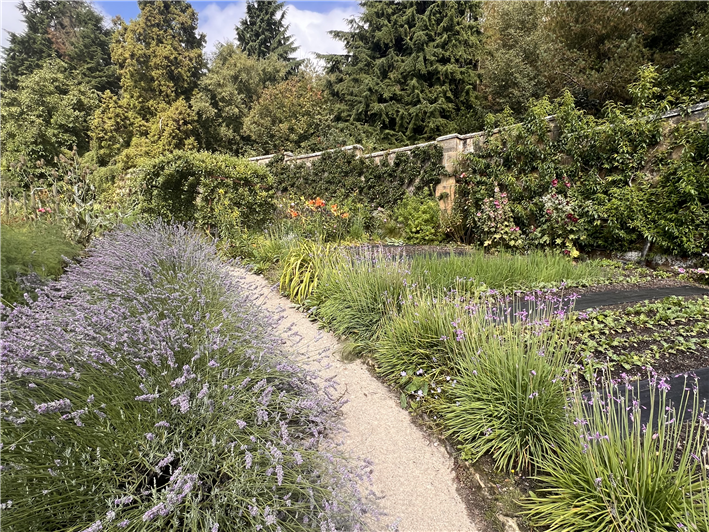 walled kitchen garden